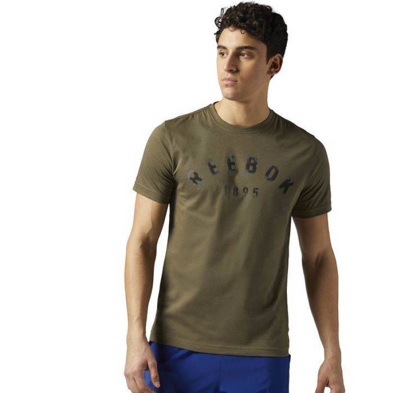 Pánské tričko ARCHED REEBOK BQ8389