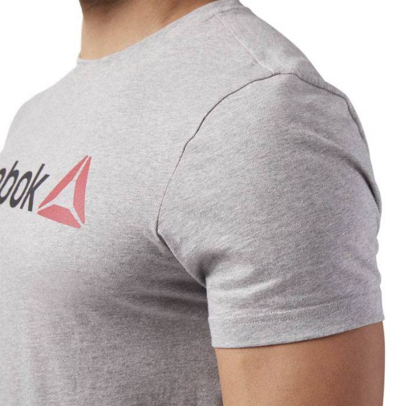 Man T-Shirt QQR- Reebok Linear Read CW5375