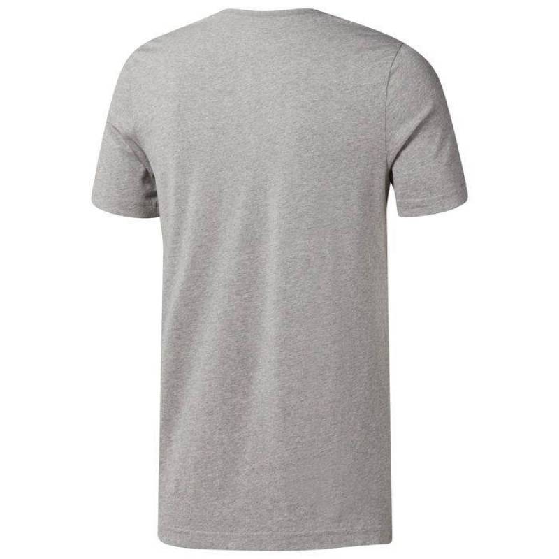 Man T-Shirt QQR- Reebok Linear Read CW5375