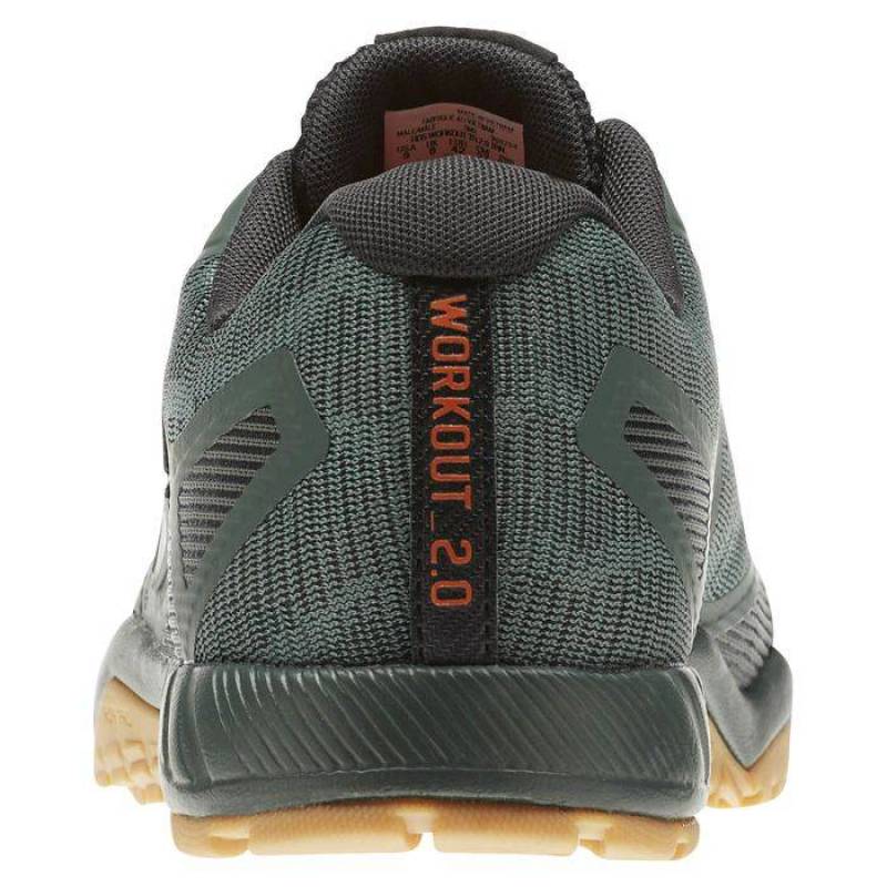 Pánské boty ROS WORKOUT TR 2.0 TRN CN1501