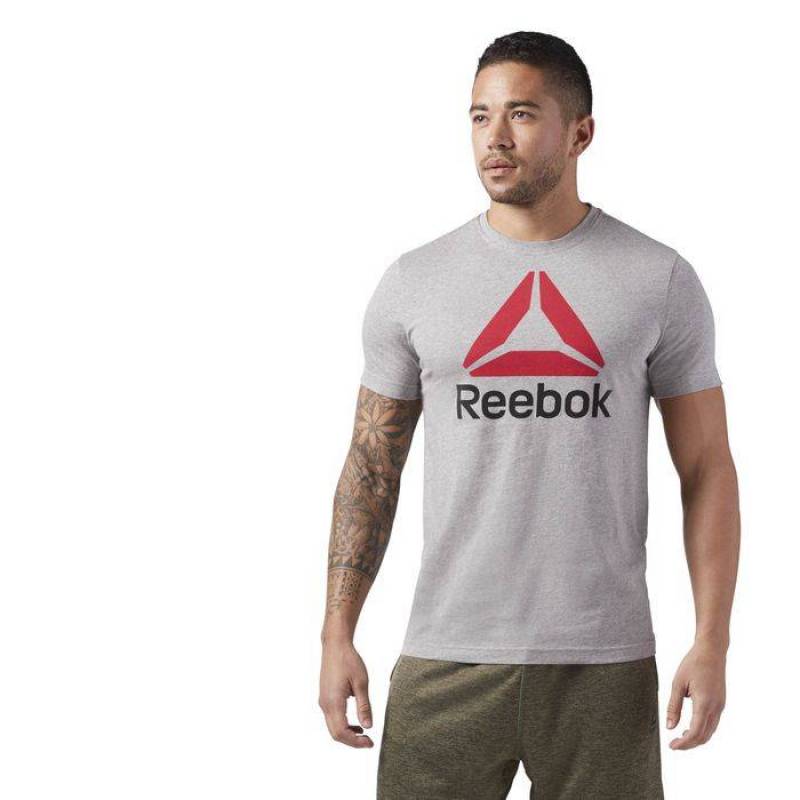 Man T-Shirt QQR- Reebok Stacked - CW5366