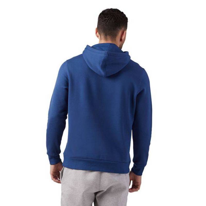 Pánská mikina EL BIG LOGO HOODIE - CD5532