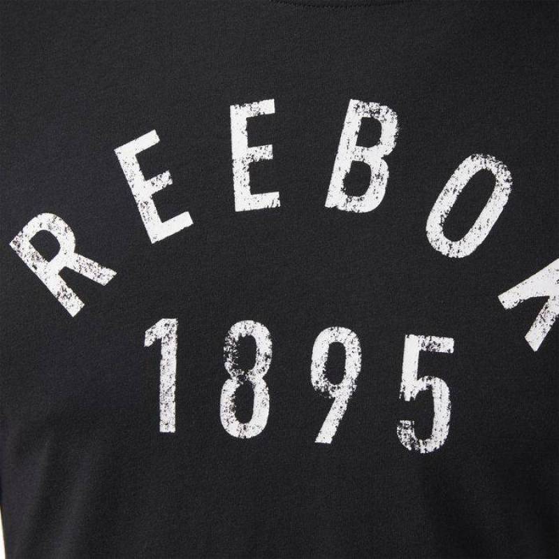 Pánské tričko REEBOK 1895 CF3881