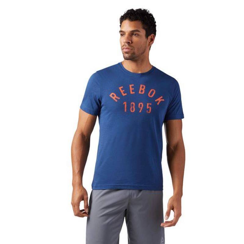 Pánské tričko REEBOK 1895 - CF3883