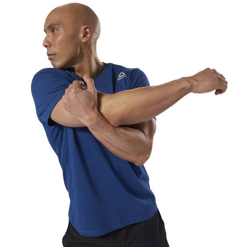 Pánské tričko TE SL CLASSIC TTE - D94282