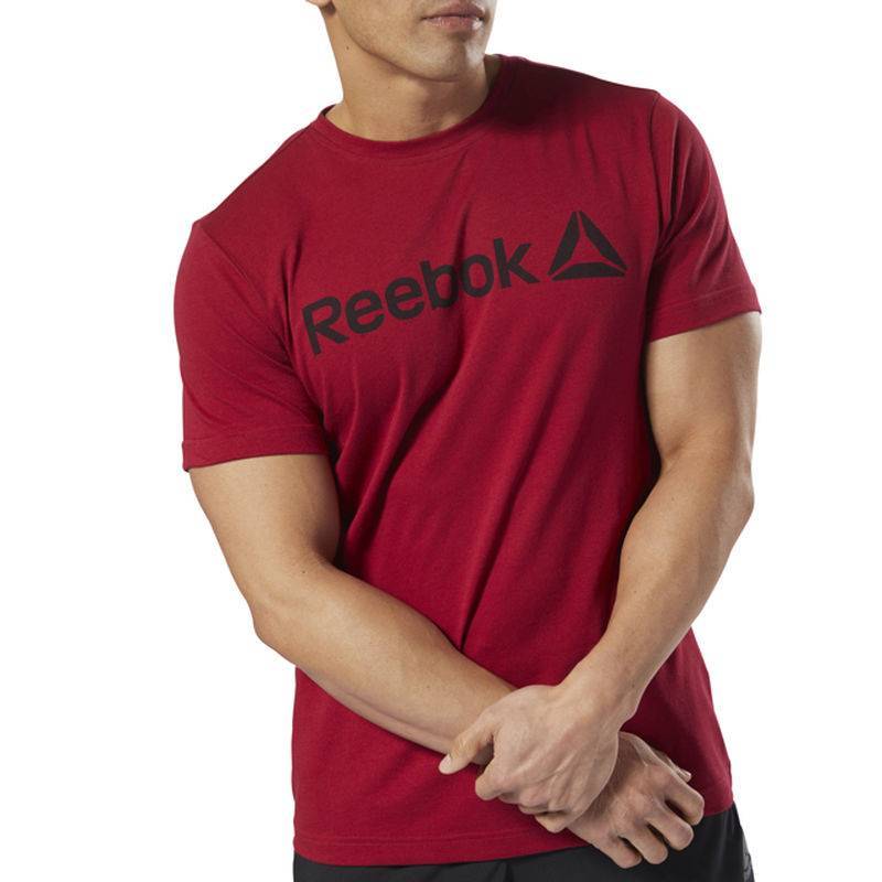 Man T-Shirt QQR- Reebok Linear Read - DH3782