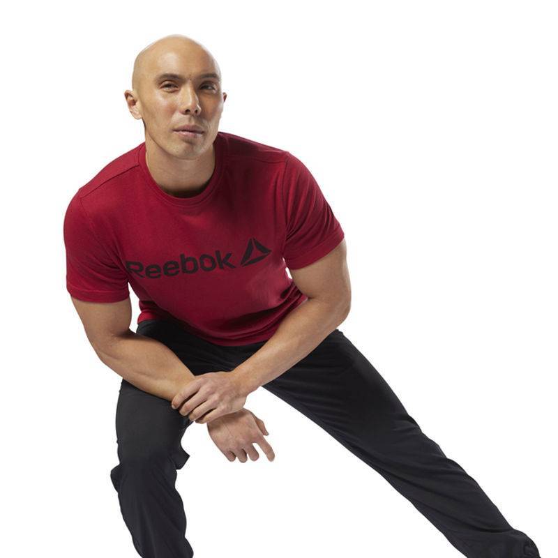 Man T-Shirt QQR- Reebok Linear Read - DH3782