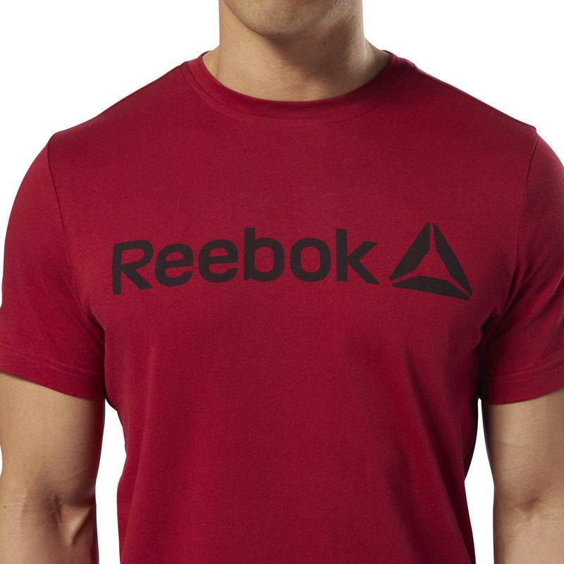 Man T-Shirt QQR- Reebok Linear Read - DH3782