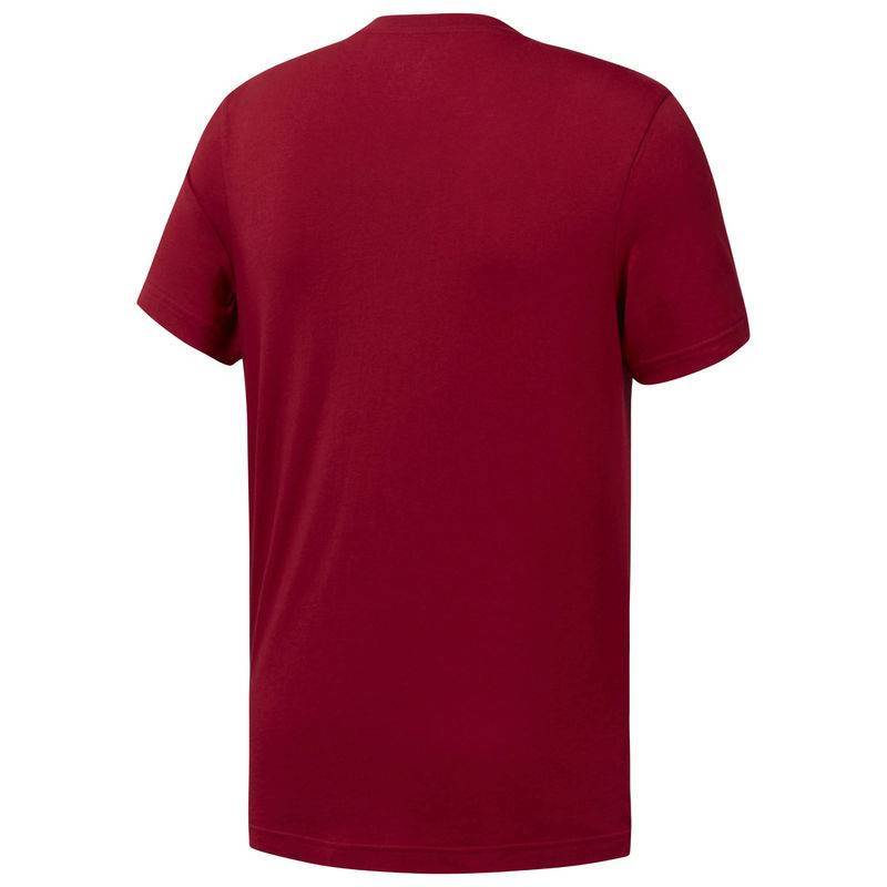 Man T-Shirt QQR- Reebok Linear Read - DH3782