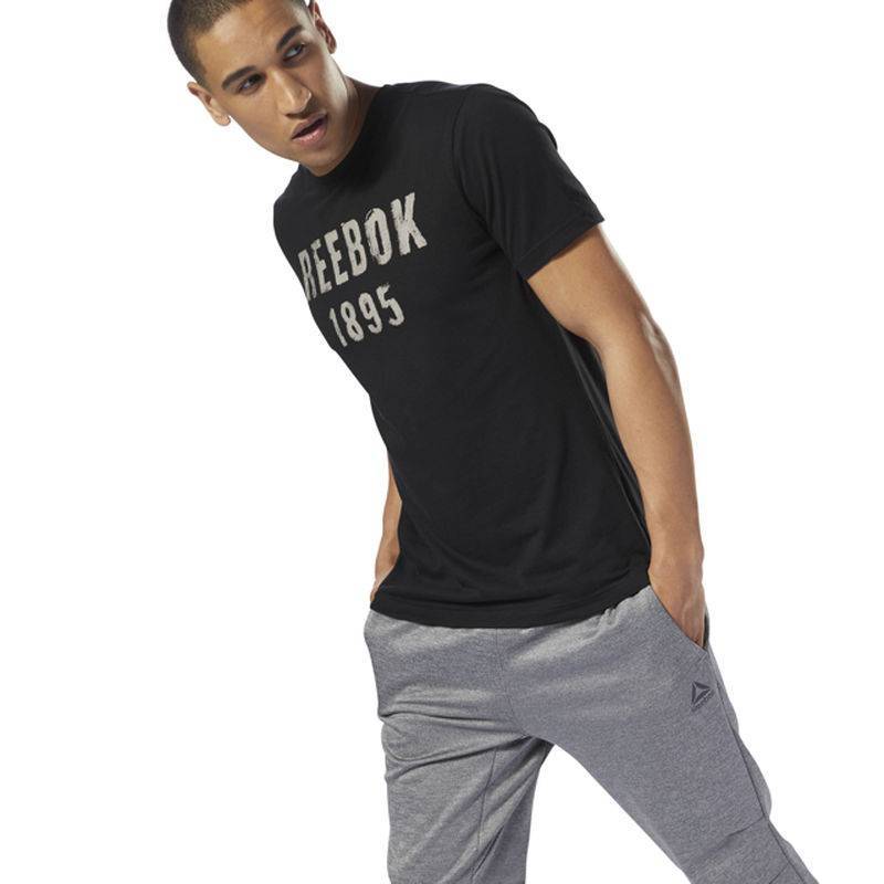 Man T-Shirt GS OPP Reebok 1895 Tee - DH3779