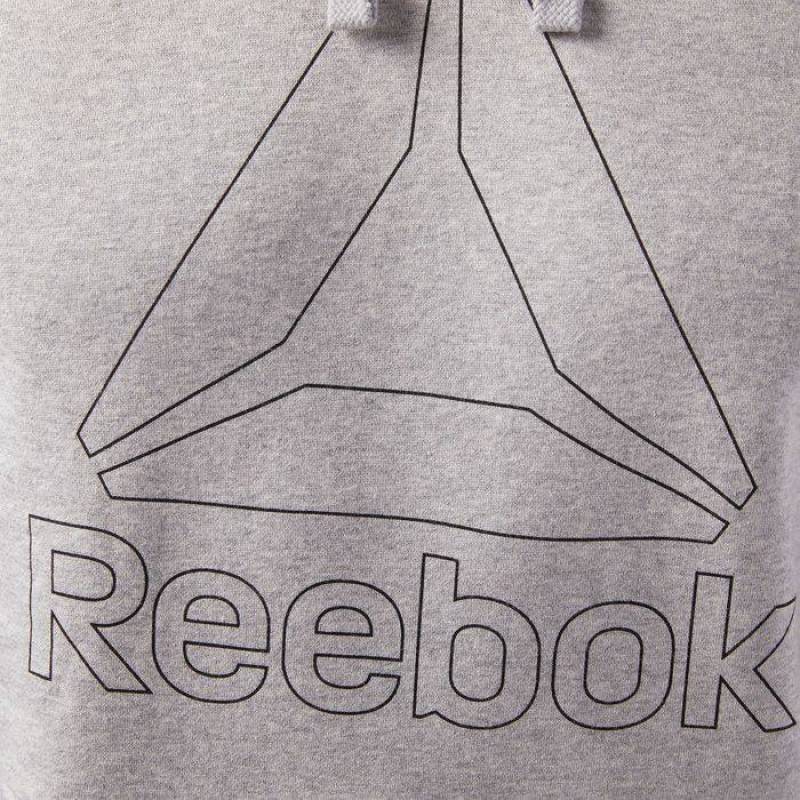 Man hoodie EL BIG LOGO HOODIE - CE4746