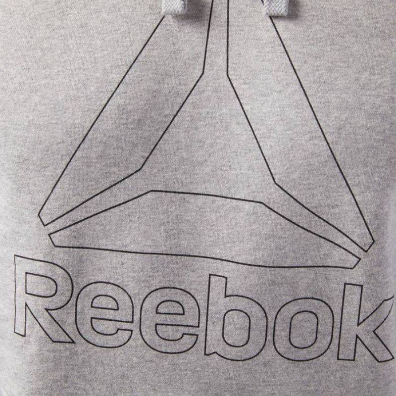 Man hoodie EL BIG LOGO HOODIE - CE4746