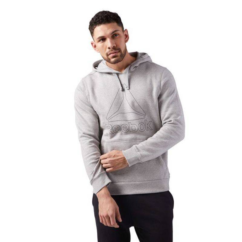 Man hoodie EL BIG LOGO HOODIE - CE4746