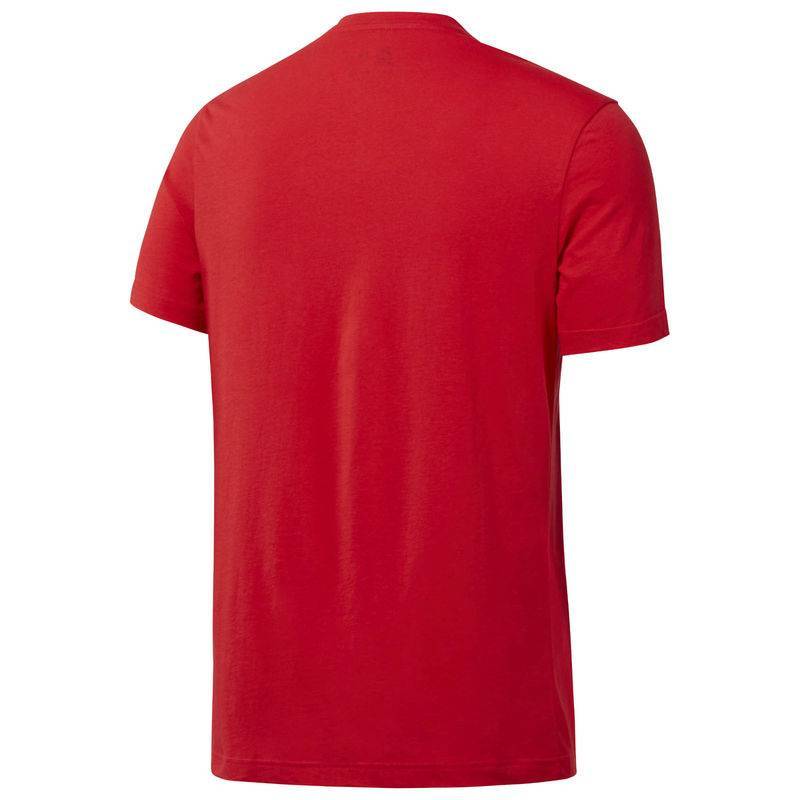 Man T-Shirt UFC FG TEXT TEE - D95025