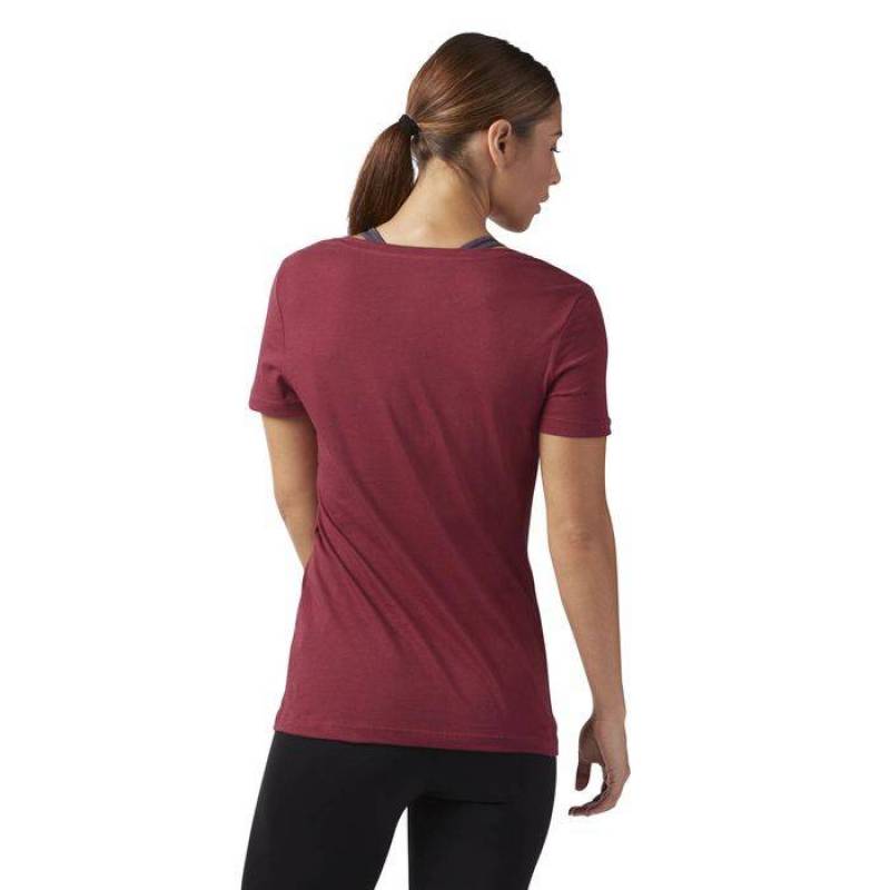 Dámské tričko Fierce Today Scoop