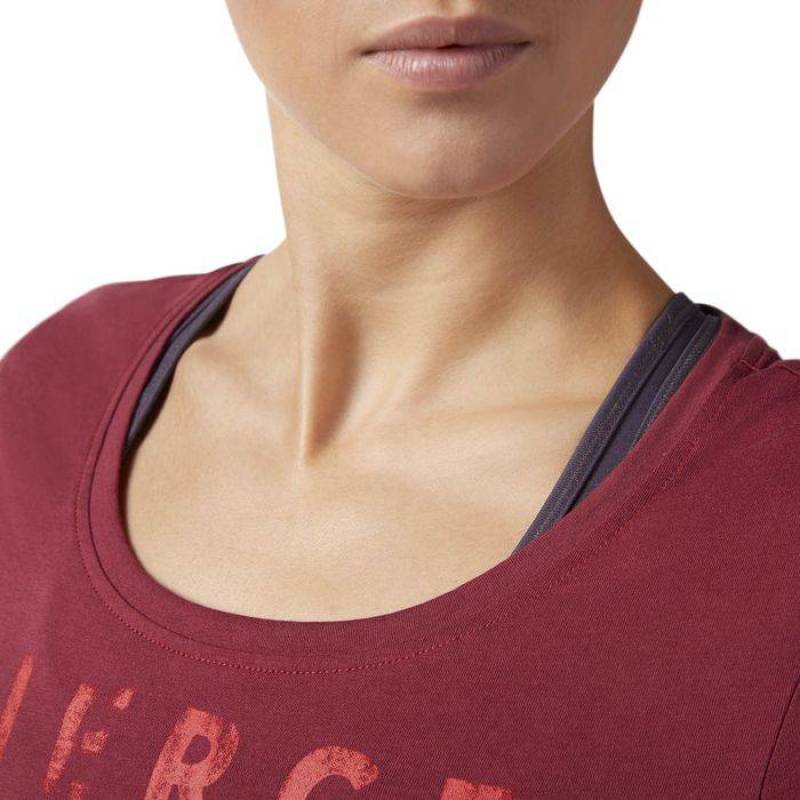 Dámské tričko Fierce Today Scoop