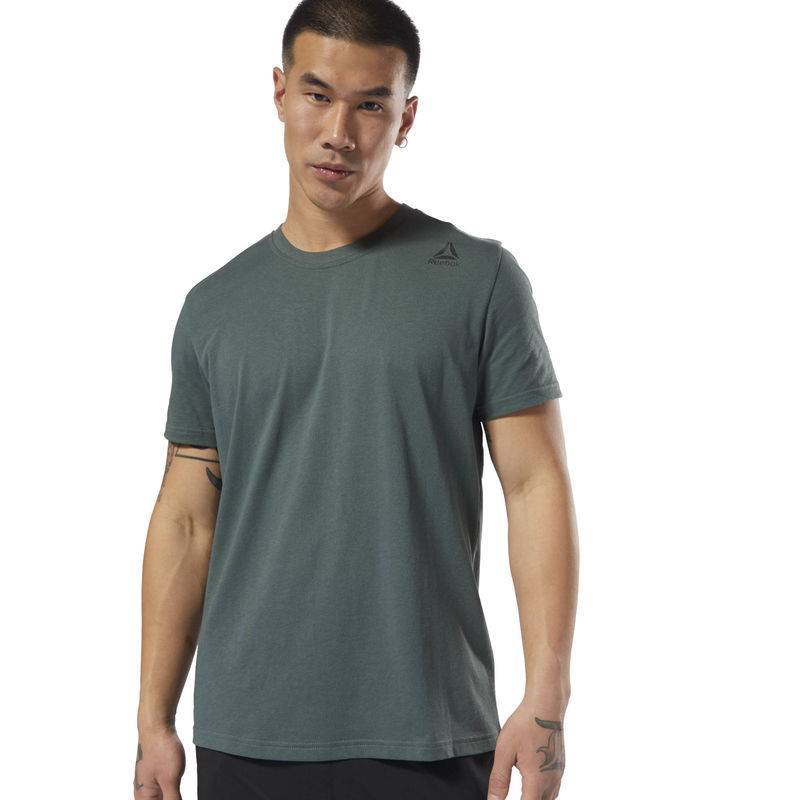 Man T-Shirt TE SL CLASSIC TTE - D94284