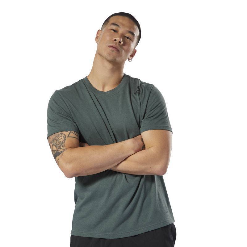 Man T-Shirt TE SL CLASSIC TTE - D94284