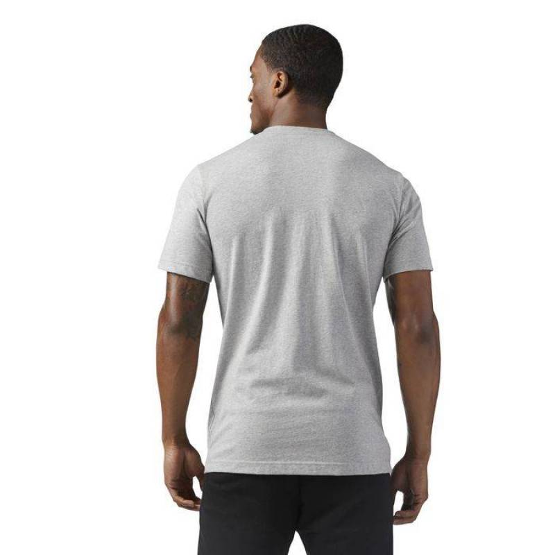 Pánské tričko KING OF TRAINING MGREYH