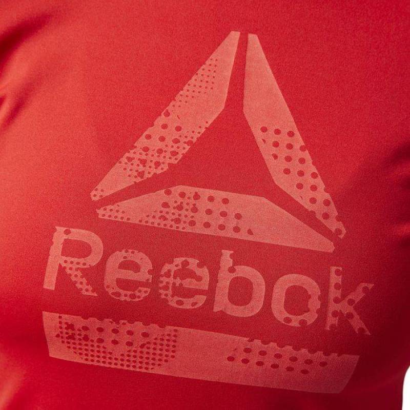 Woman T-Shirt AC GRAPHIC TEE BQ5001