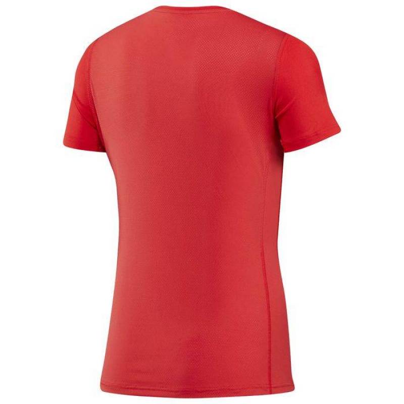 Dámské tričko AC GRAPHIC TEE BQ5001