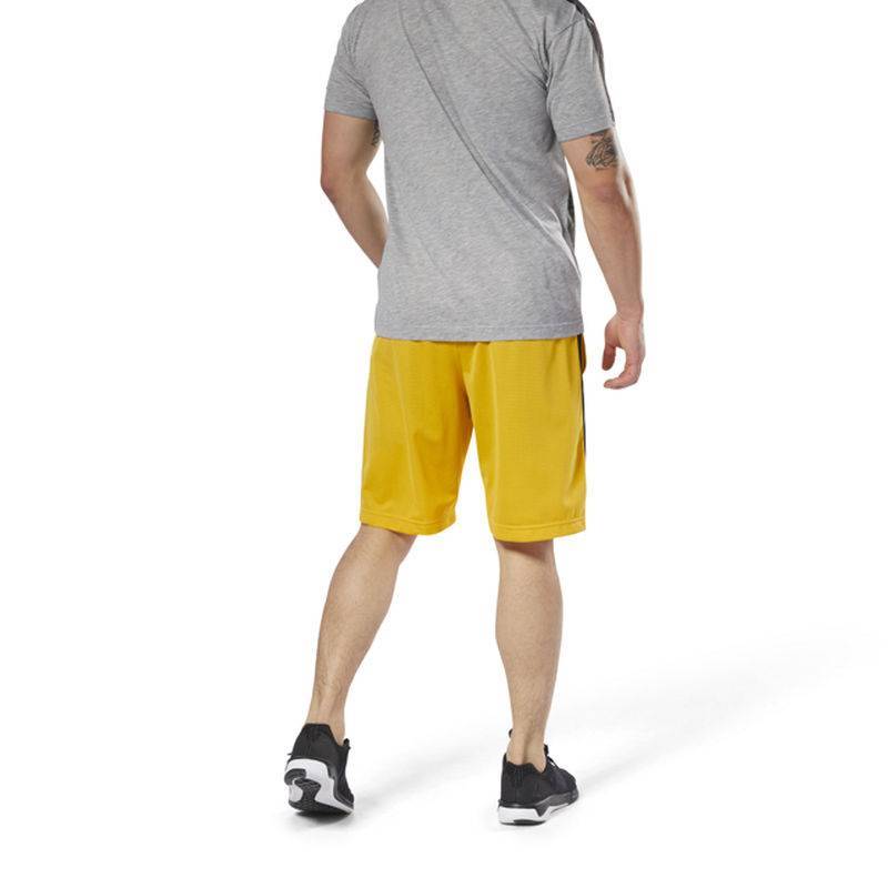 Pánské šortky WOR MESH SHORT - DN9395