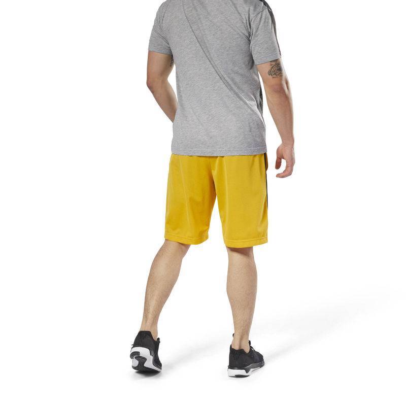 Man Shorts WOR MESH SHORT - DN9395