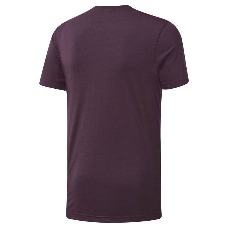 Pánské tričko Reebok CrossFit FEF TEE- SPEEDWICK - DT2776