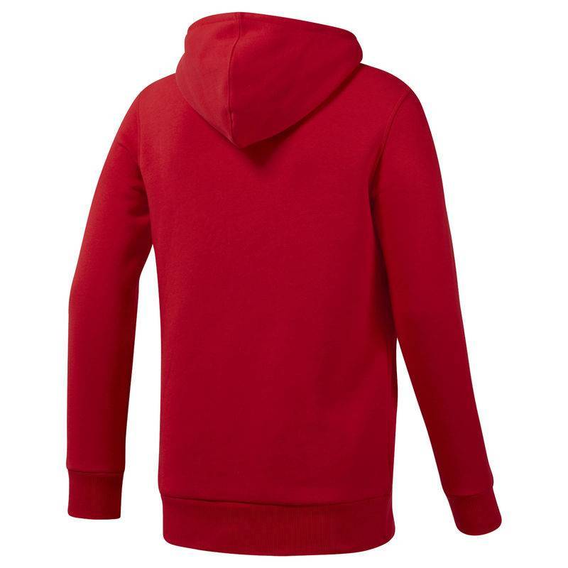 Man hoodie UFC FG PULLOVER HOODIE - DU4578