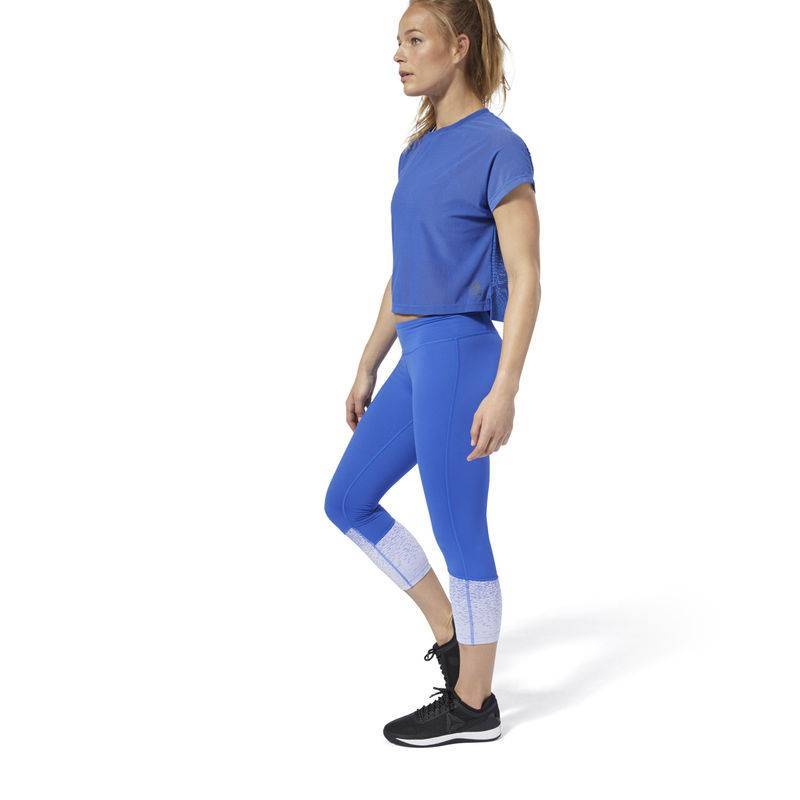 Woman Tight Reebok CrossFit Lux 3/4 - Fade - DQ0028