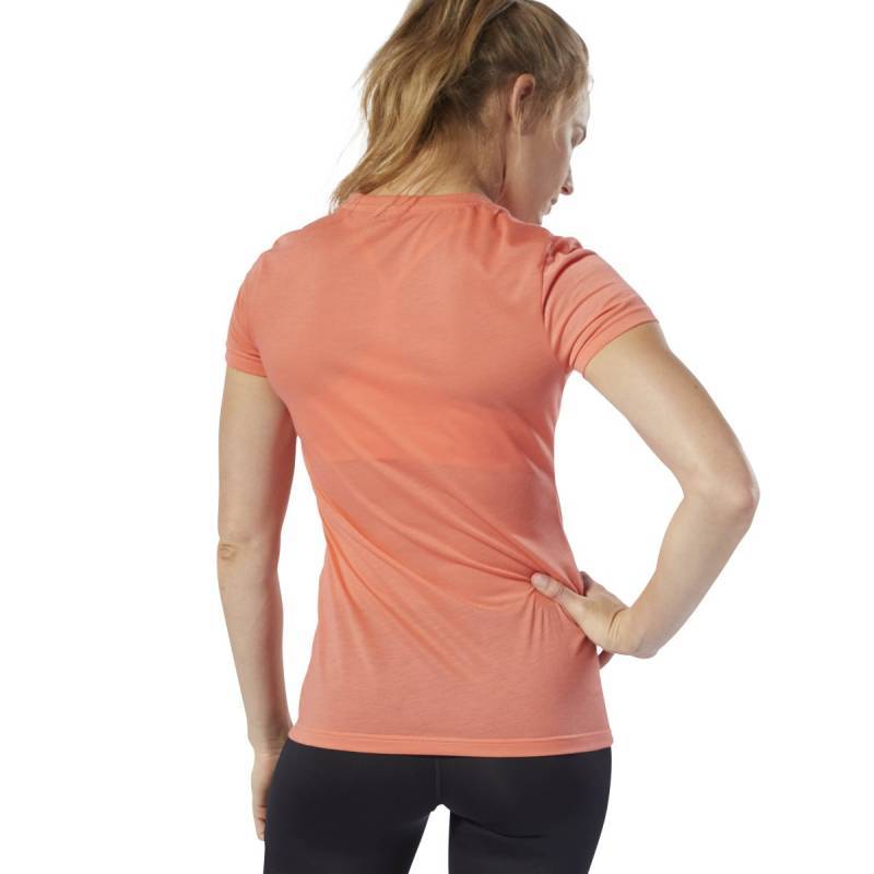 Woman T-Shirt FEF SPEEDWICK - DP6215