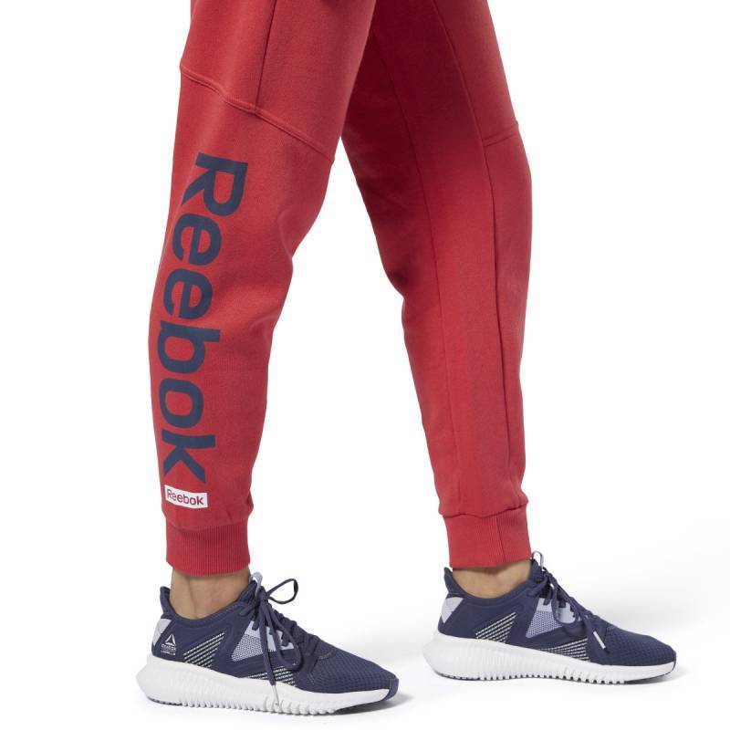 Woman Tight Linear Logo Pant - FI2043