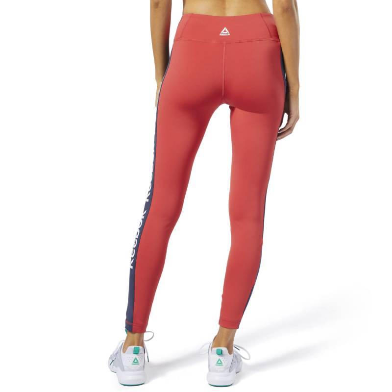 Woman Tight Linear Logo Tight - FI4803