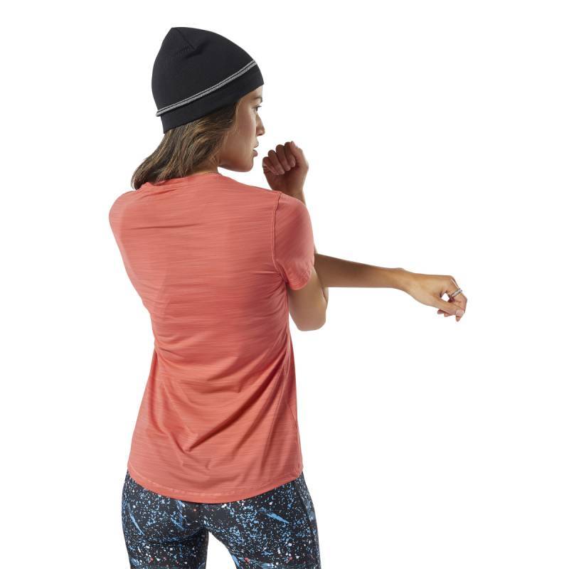 Woman T-Shirt OSR SS AC TEE - EC2982