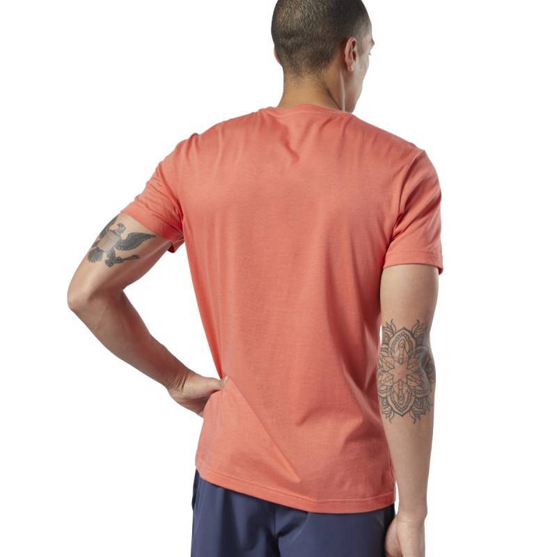 Pánské tričko Reebok CrossFit Distressed Crest Tee - EC1463