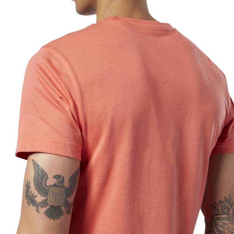 Pánské tričko Reebok CrossFit Fittest on Earth Tee - EC1485