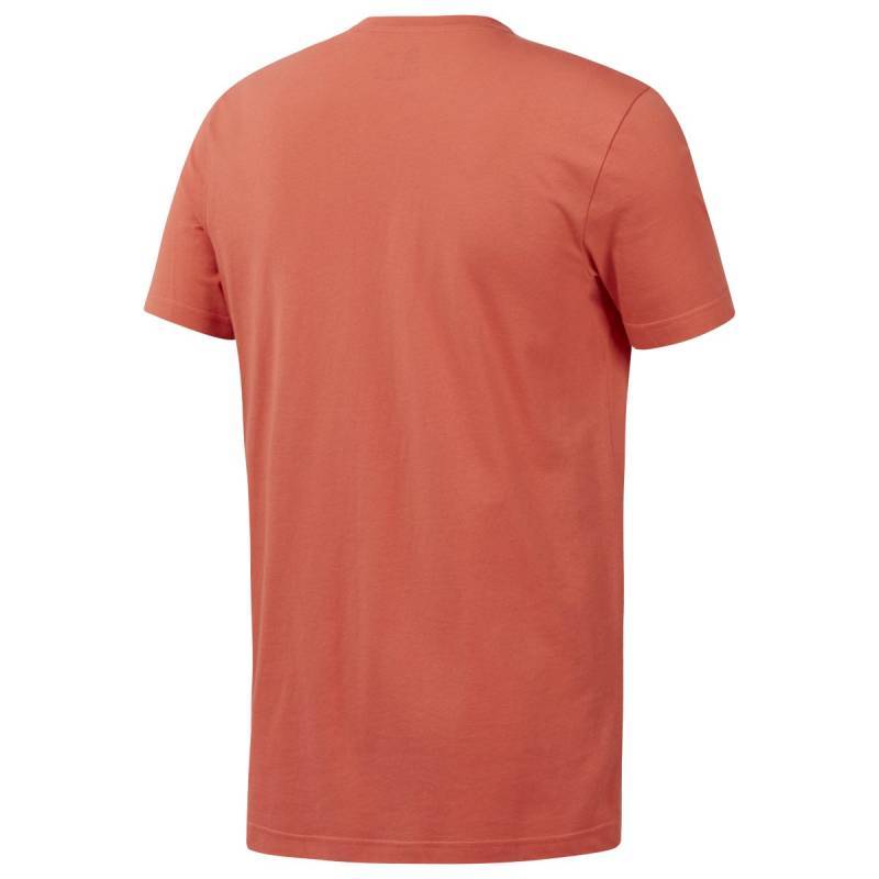 Man T-Shirt Reebok CrossFit Fittest on Earth Tee - EC1485