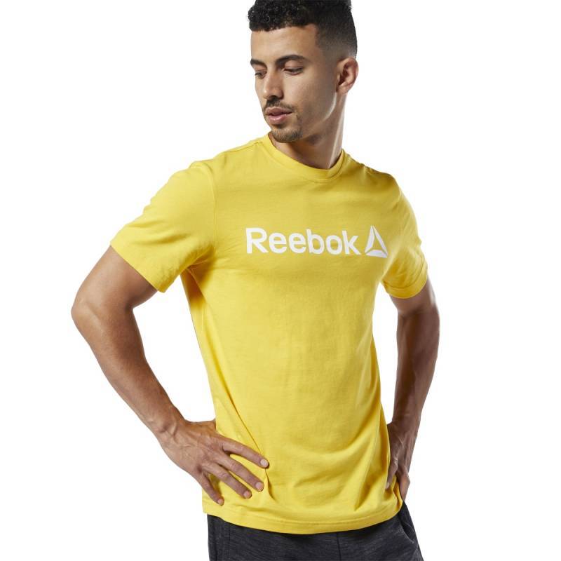 Man T-Shirt QQR- Reebok Linear Read - DY7824