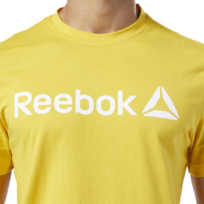 Pánské tričko QQR- Reebok Linear Read - DY7824