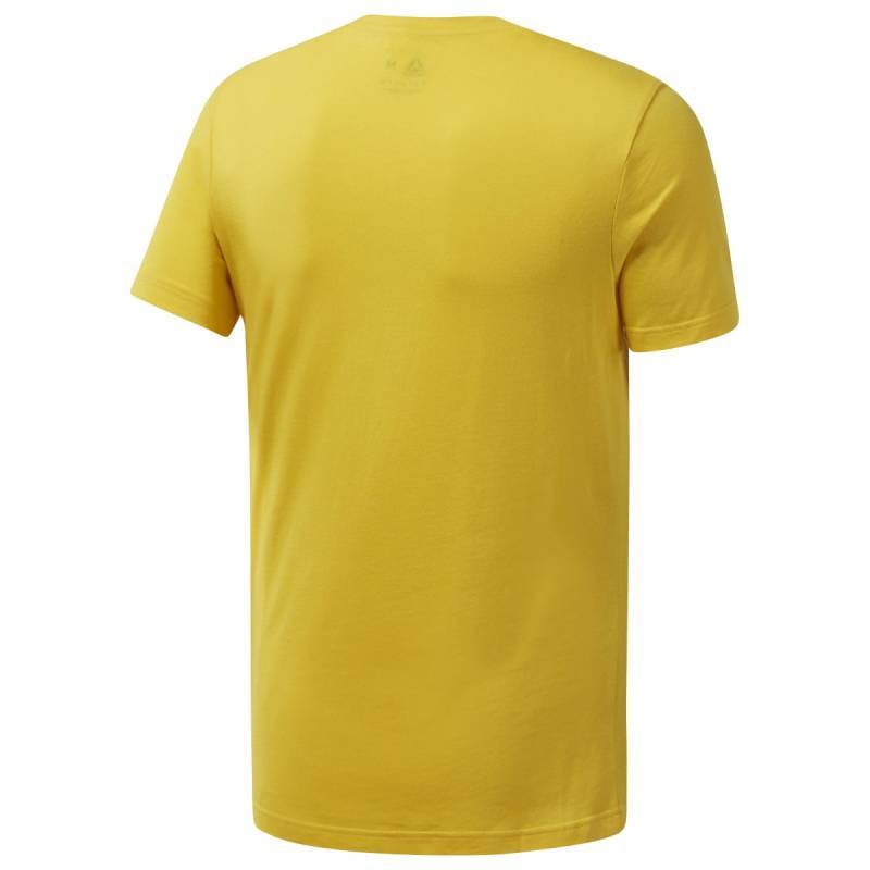 Man T-Shirt QQR- Reebok Linear Read - DY7824