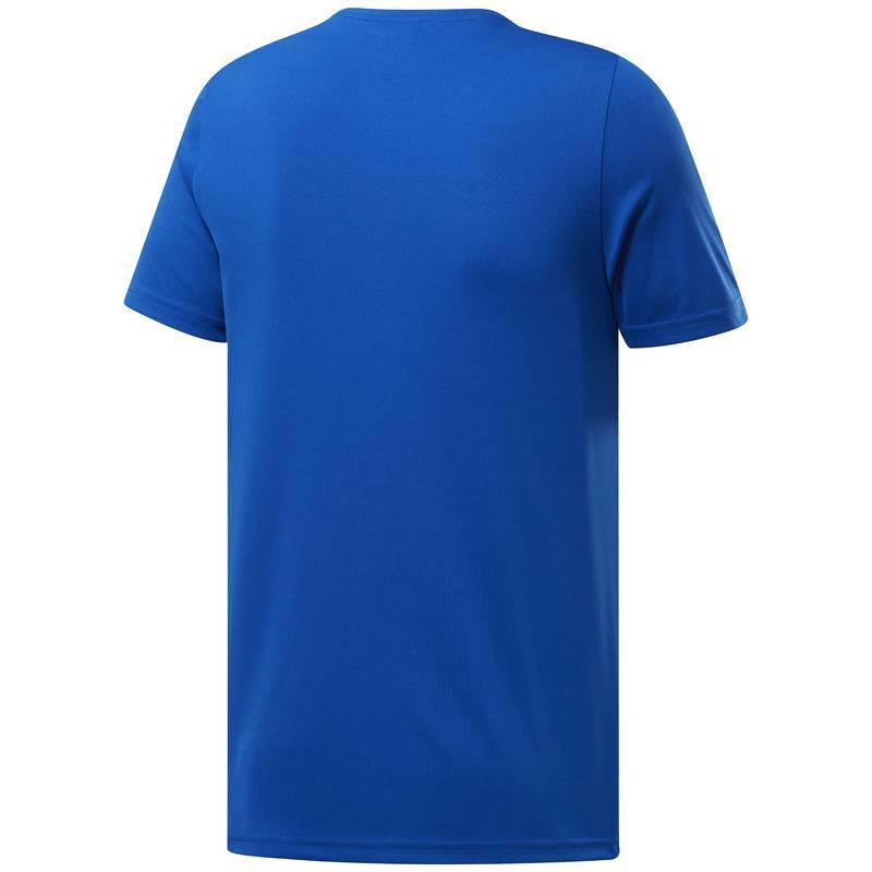 Pánské tričko Workout POLY GRAPHIC SS TEE - FK6179