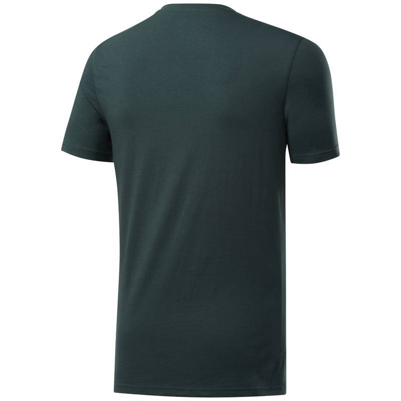 Man T-Shirt UFC FG LOGO TEE - FJ5159