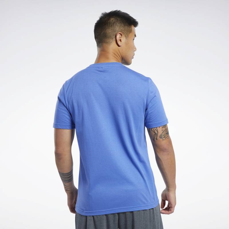 Pánské tričko TS Cotton Graphic Tee Q1 - FL0603