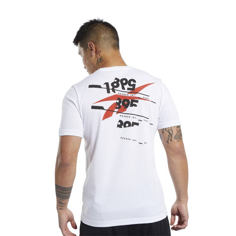 Pánské tričko TS Cotton Graphic Tee - FJ4637