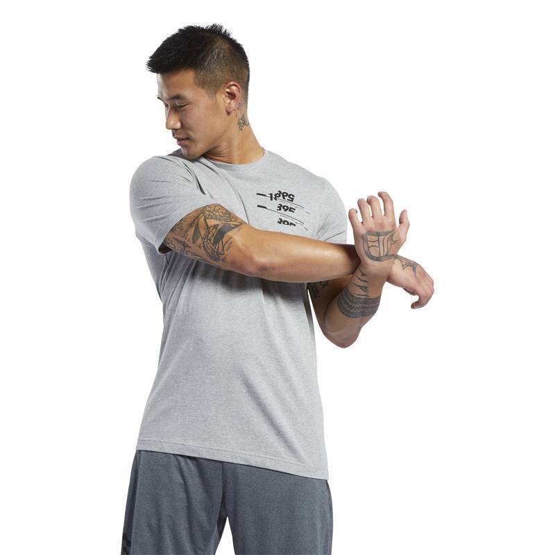 Pánské tričko TS Cotton Graphic Tee - FL0598