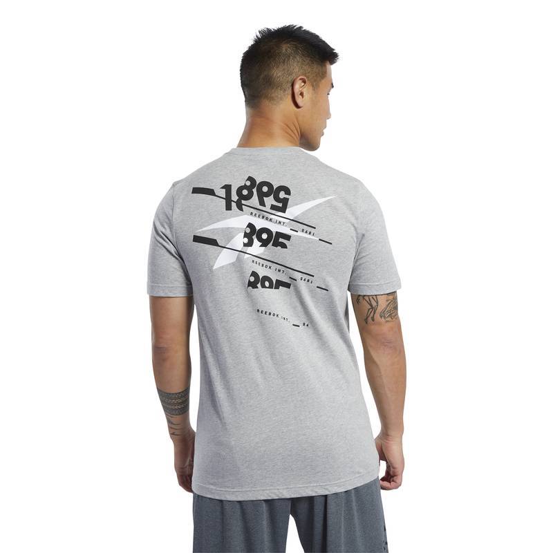 Pánské tričko TS Cotton Graphic Tee - FL0598