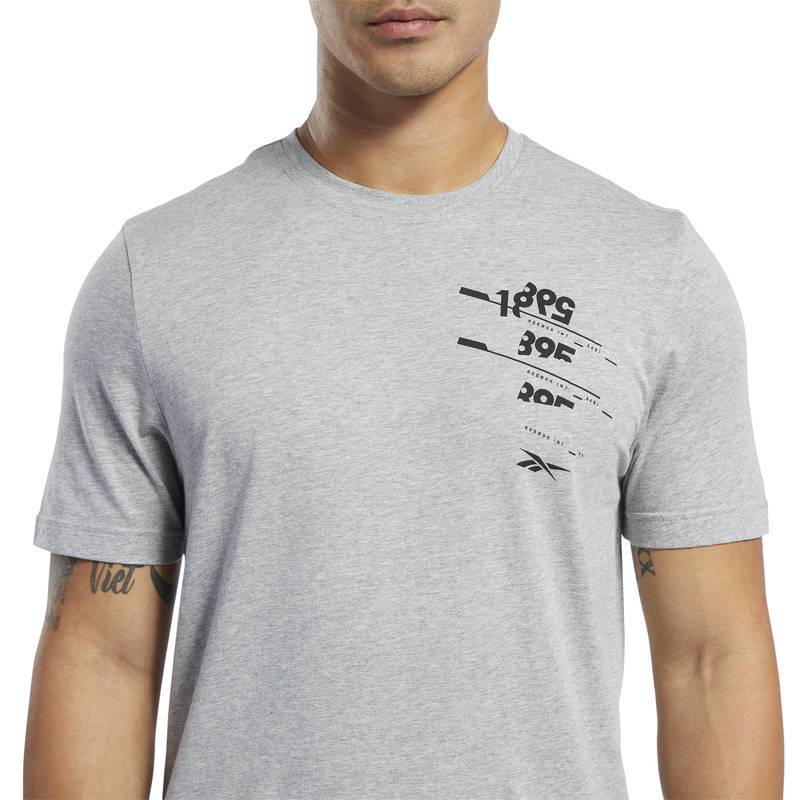 Pánské tričko TS Cotton Graphic Tee - FL0598