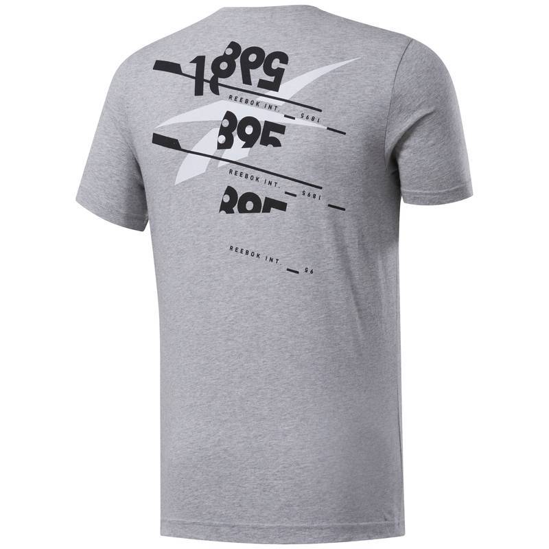 Pánské tričko TS Cotton Graphic Tee - FL0598