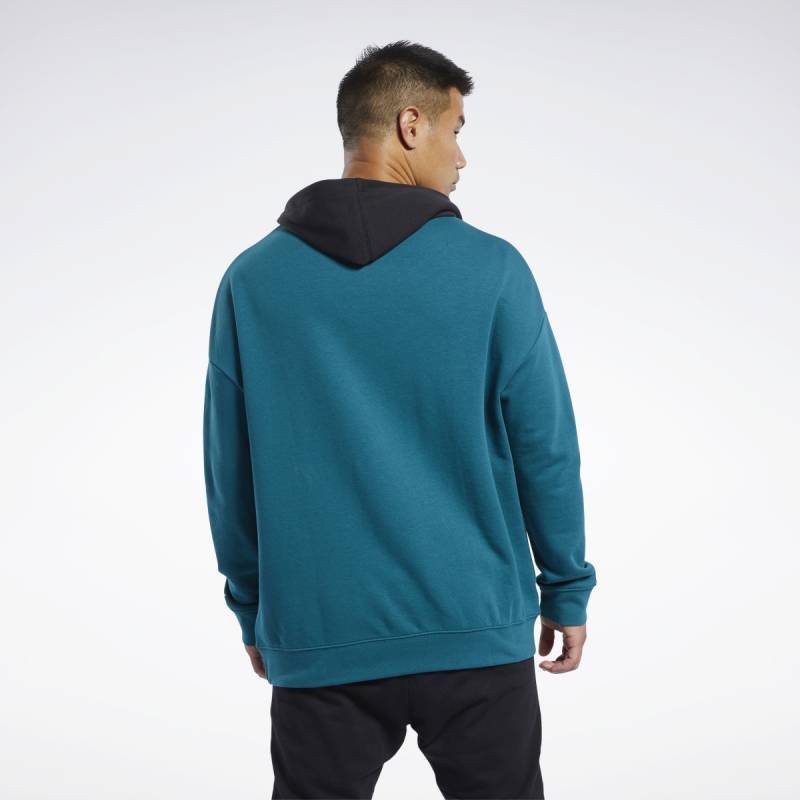 Man hoodie TE LINEAR LOGO OTH HOOD - FJ4680