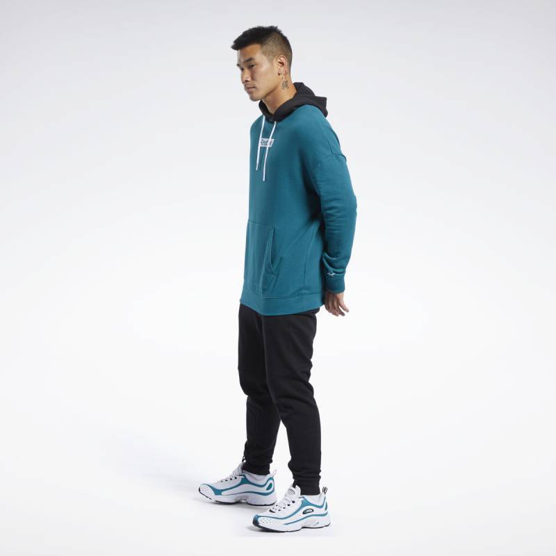 Man hoodie TE LINEAR LOGO OTH HOOD - FJ4680